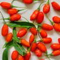 Frozen Red Goji Berries